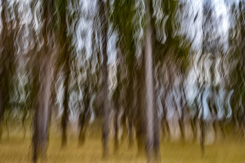 Moving by Steve Tugwell